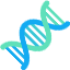 Serialization icon